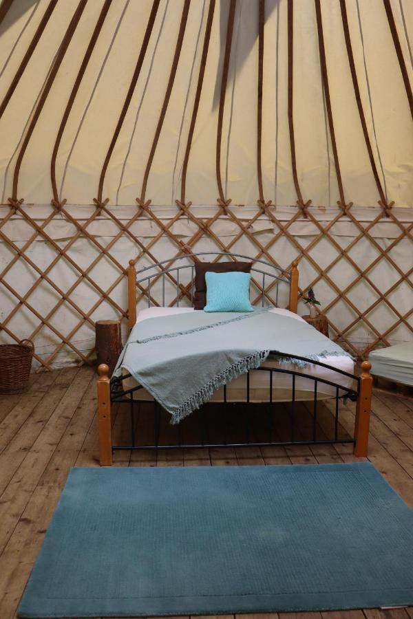 South Downs Eco Lodge & Camping East Meon Exteriér fotografie