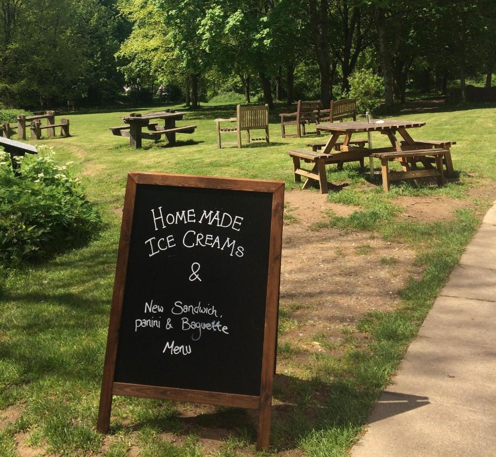 South Downs Eco Lodge & Camping East Meon Exteriér fotografie